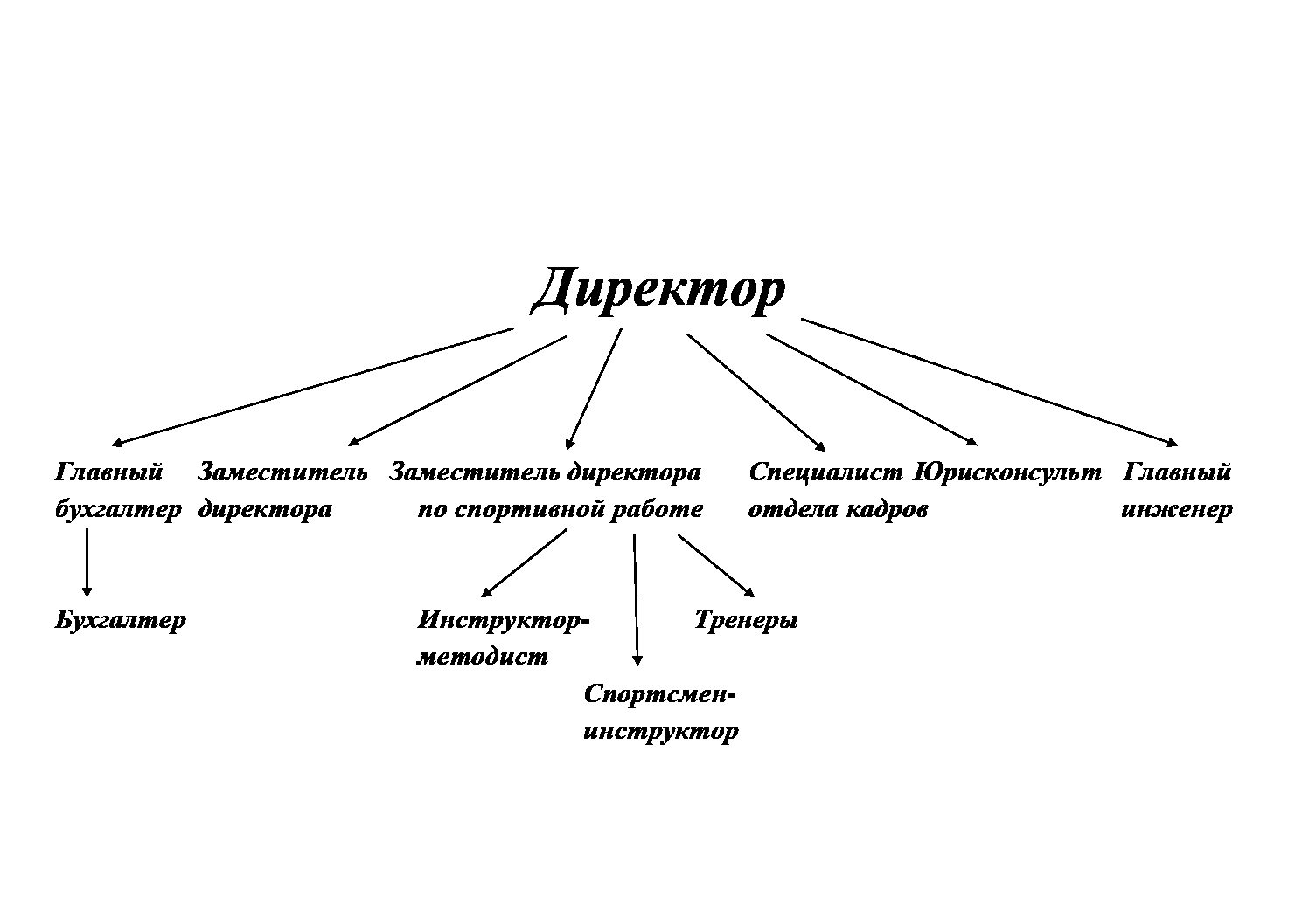 Схема структуры федерации по теннису