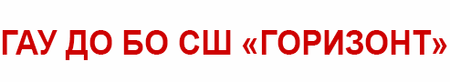 ГАУ ДО БО СШ «Горизонт»